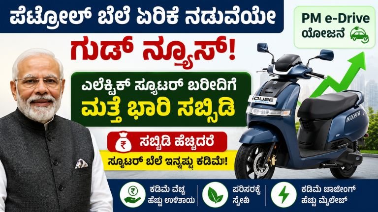 Electric-Scooter-Subsidy